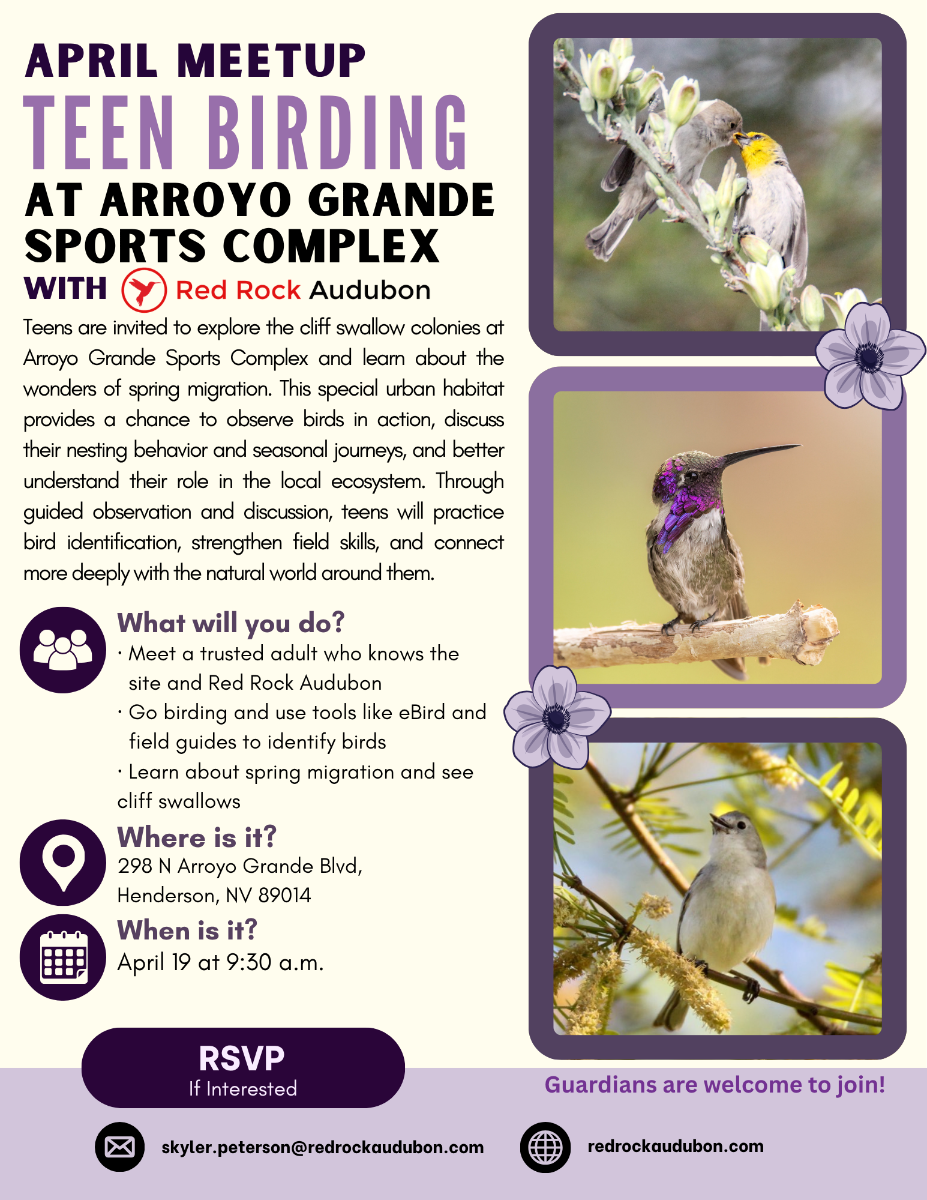 April%20Teen%20Birding%20Flyer%20copy.png